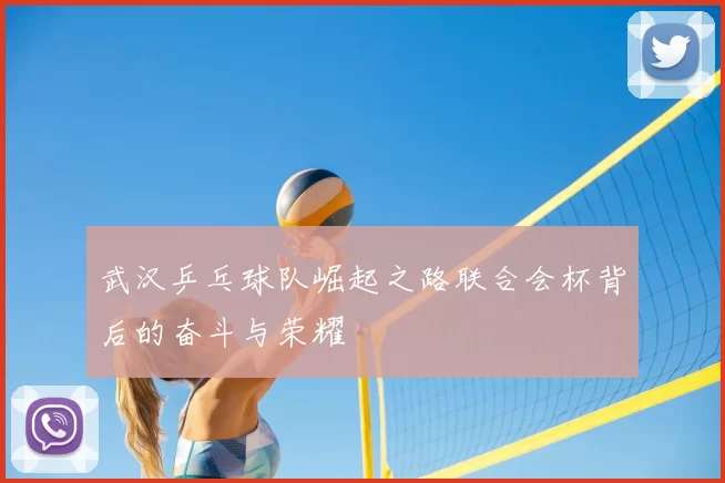 武汉乒乓球队崛起之路联合会杯背后的奋斗与荣耀