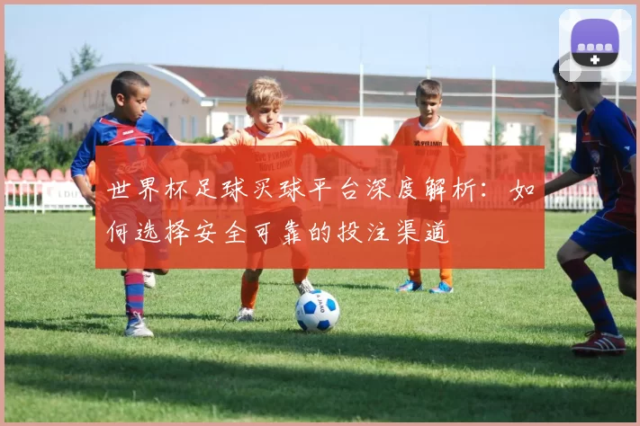 世界杯足球买球平台深度解析：如何选择安全可靠的投注渠道