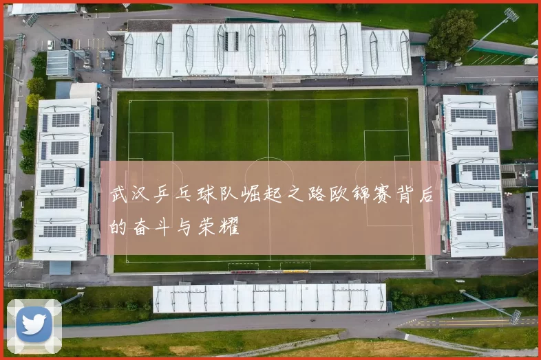 武汉乒乓球队崛起之路欧锦赛背后的奋斗与荣耀