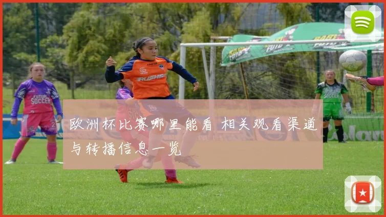 欧洲杯比赛哪里能看 相关观看渠道与转播信息一览