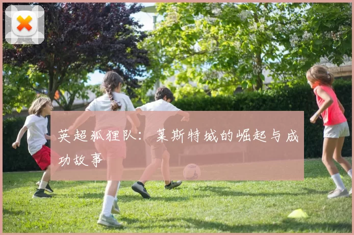 英超狐狸队：莱斯特城的崛起与成功故事