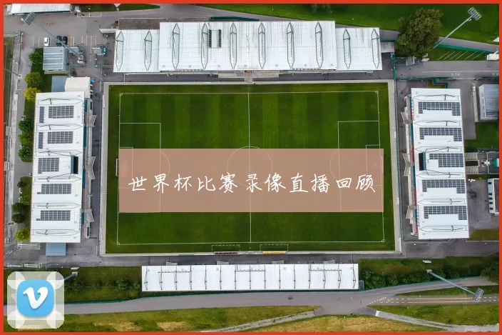 世界杯比赛录像直播回顾