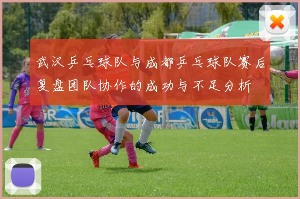 武汉乒乓球队与成都乒乓球队赛后复盘团队协作的成功与不足分析