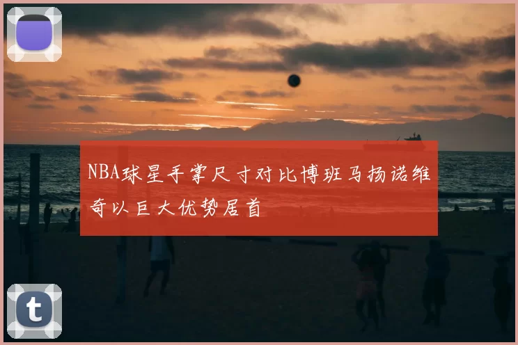 NBA球星手掌尺寸对比博班马扬诺维奇以巨大优势居首