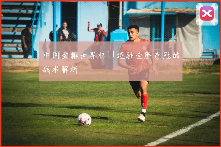 中国女排世界杯11连胜全胜夺冠的战术解析