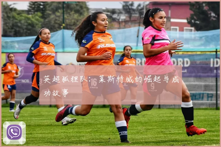 英超狐狸队：莱斯特城的崛起与成功故事