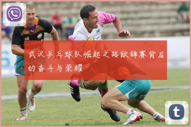 武汉乒乓球队崛起之路欧锦赛背后的奋斗与荣耀