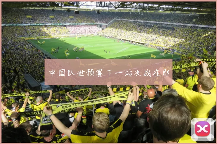 中国队世预赛下一站决战在即
