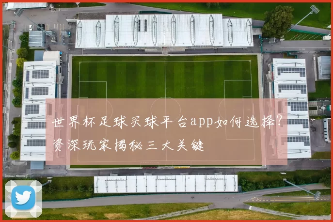 世界杯足球买球平台app如何选择？资深玩家揭秘三大关键