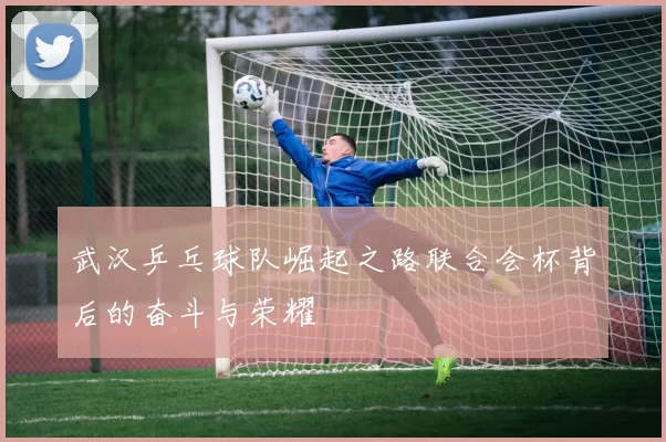 武汉乒乓球队崛起之路联合会杯背后的奋斗与荣耀