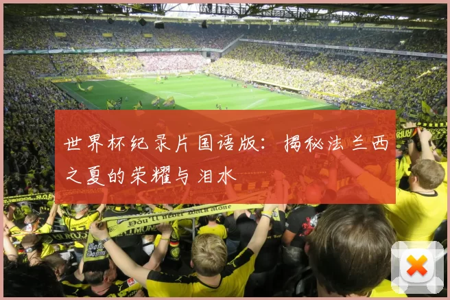 世界杯纪录片国语版：揭秘法兰西之夏的荣耀与泪水