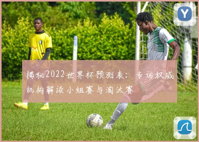 揭秘2022世界杯预测表：专访权威机构解读小组赛与淘汰赛